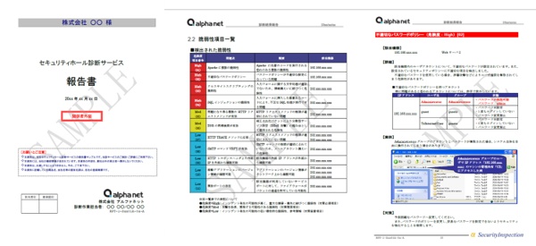 株式会社アルファネット報告書