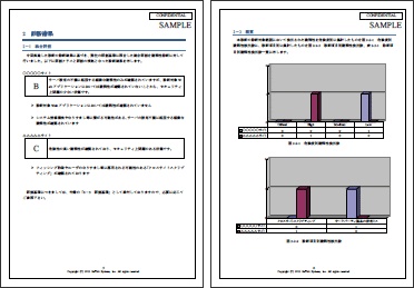 株式会社サイバーセキュリティクラウド報告書