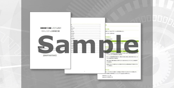 株式会社セキュアイノベーション報告書