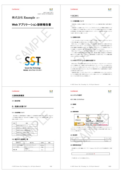 株式会社セキュアスカイ・テクノロジー報告書
