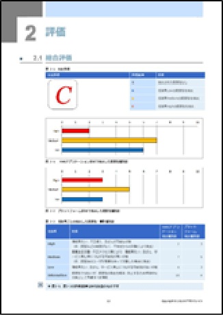 NTTビジネスソリューションズ株式会社報告書
