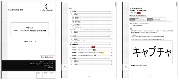 サイバートラスト株式会社報告書