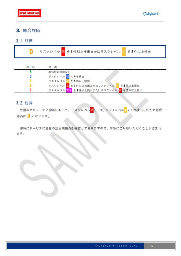 デジサート・ジャパン合同会社報告書